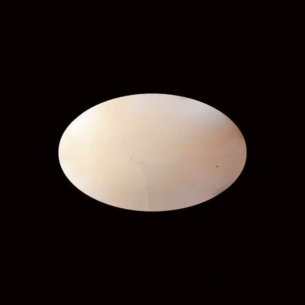 White Coral - 5.98 carats